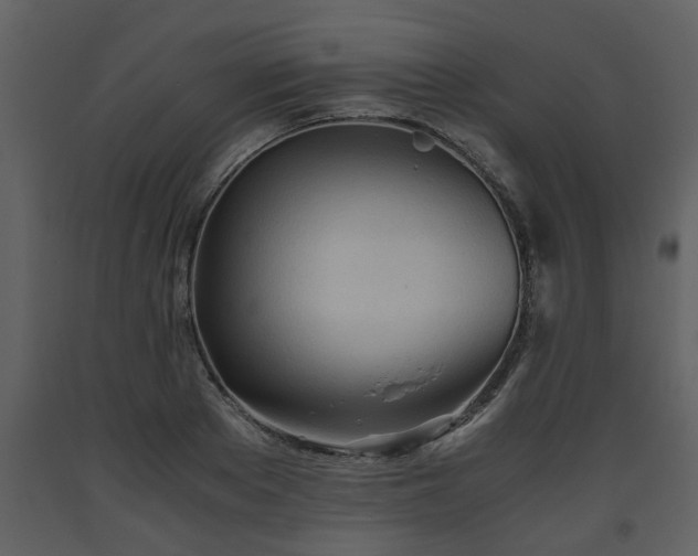 X0000093440889200710191038