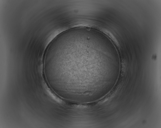 X0000093440890200710191038
