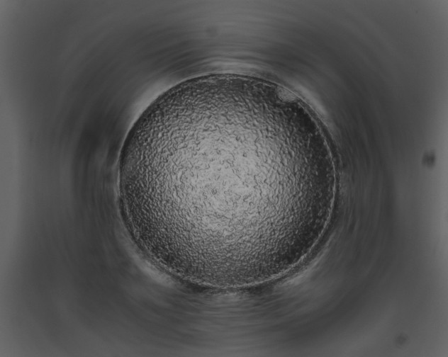 X0000093440891200710191038