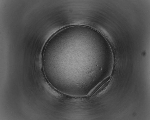 X0000093440892200710191038