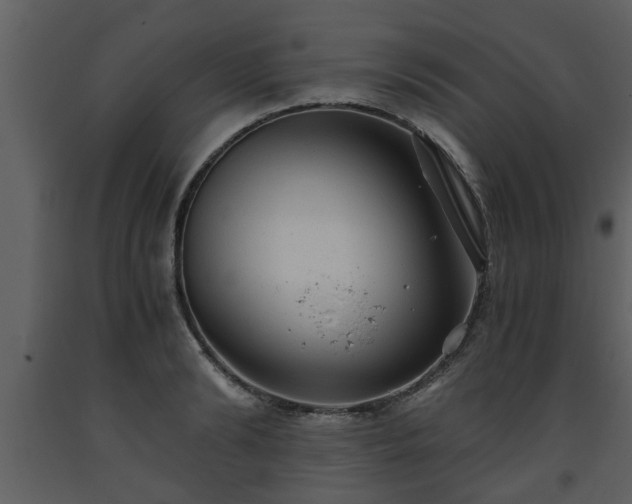 X0000093440894200710191038
