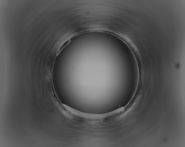 X0000093440897200710191038