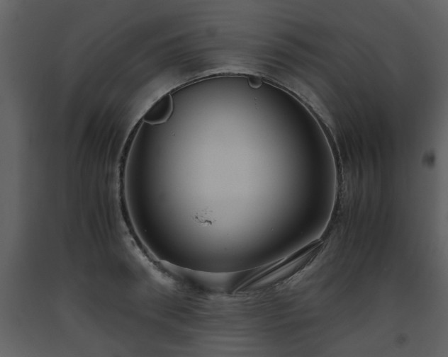 X0000093440898200710191038