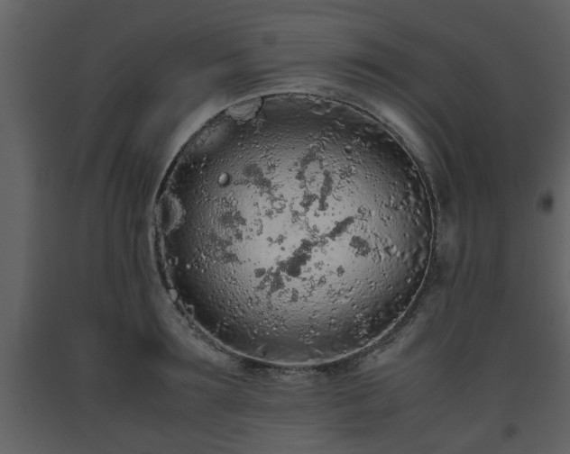 X0000093440899200710191038