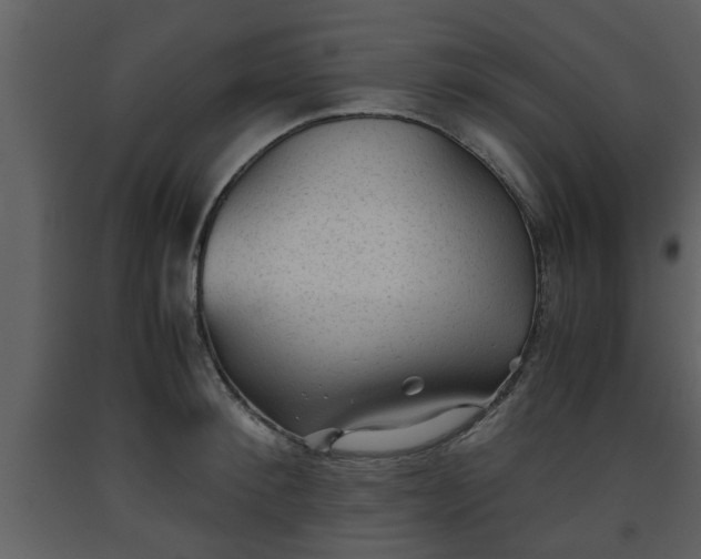 X0000093440900200710191038