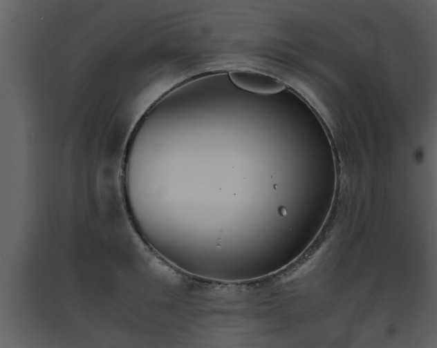 X0000093440901200710191038