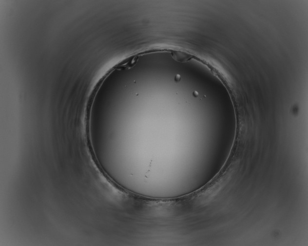 X0000093440902200710191038