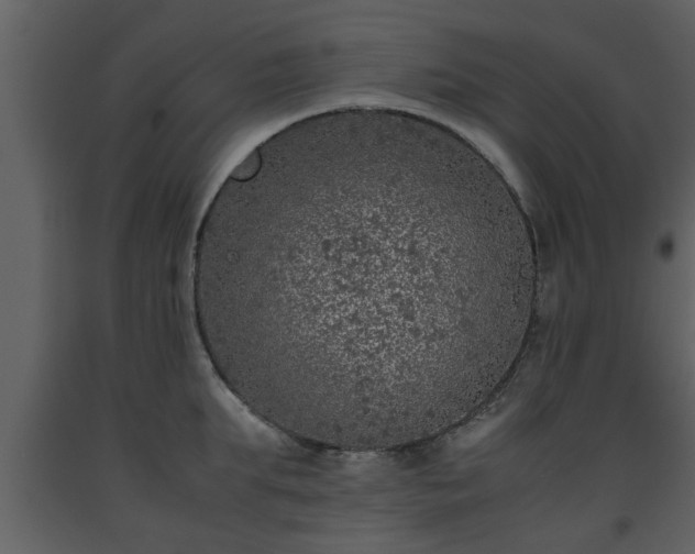 X0000093440903200710191038