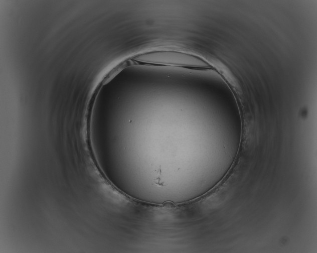 X0000093440904200710191038