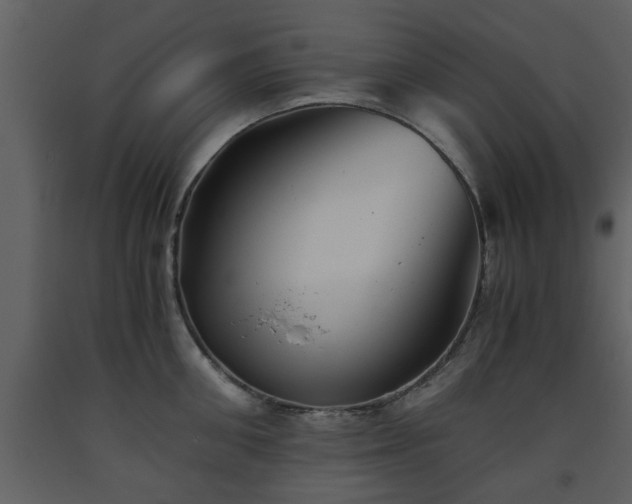 X0000093440906200710191038