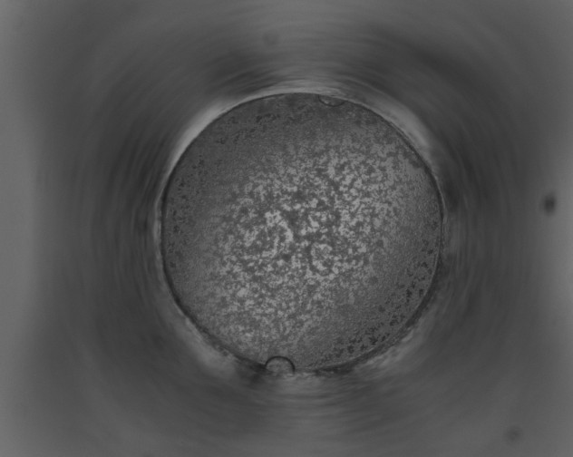 X0000093440907200710191038