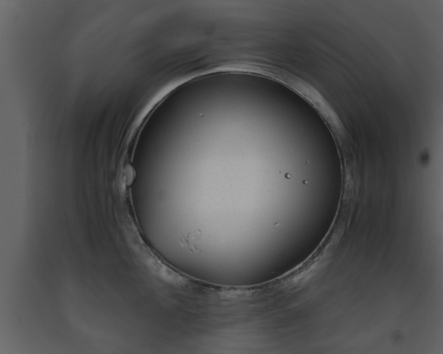 X0000093440908200710191038