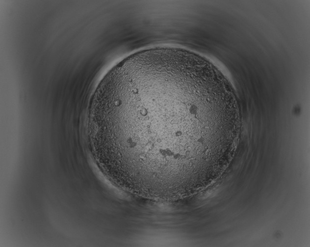 X0000093440911200710191038