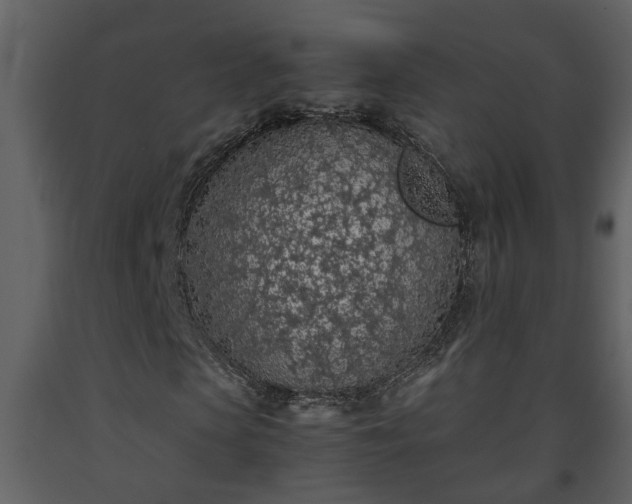 X0000093440913200710191037