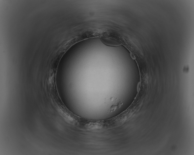 X0000093440914200710191037