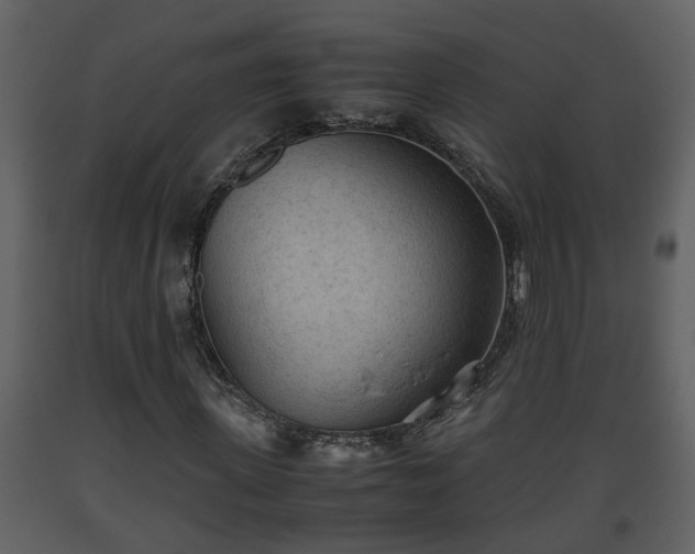 X0000093440915200710191037