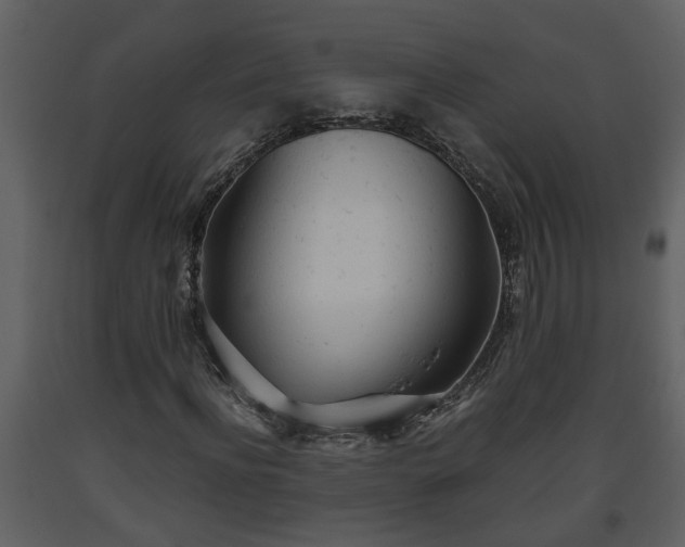 X0000093440916200710191037