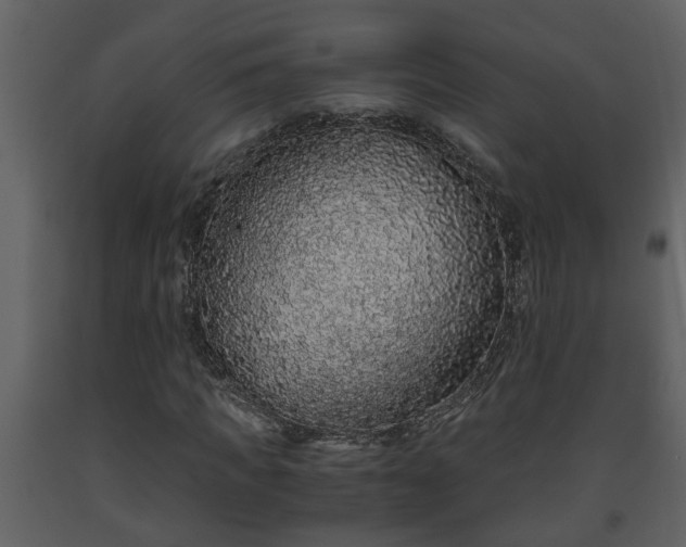 X0000093440917200710191037