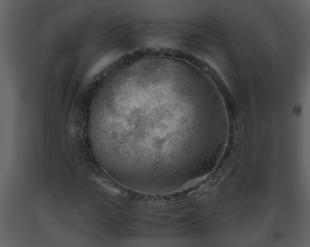 X0000093440919200710191037