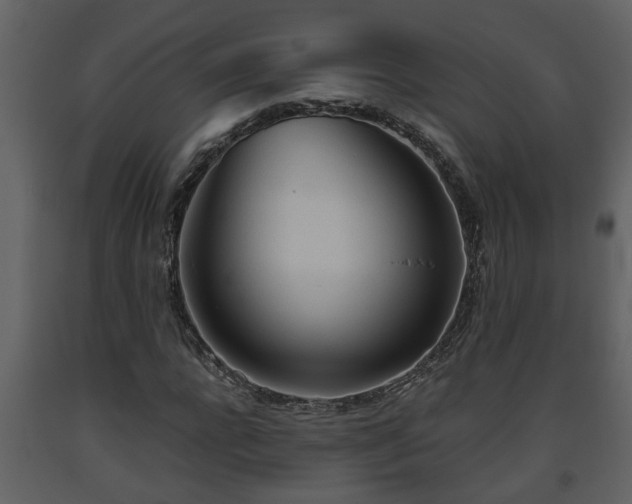 X0000093440920200710191037