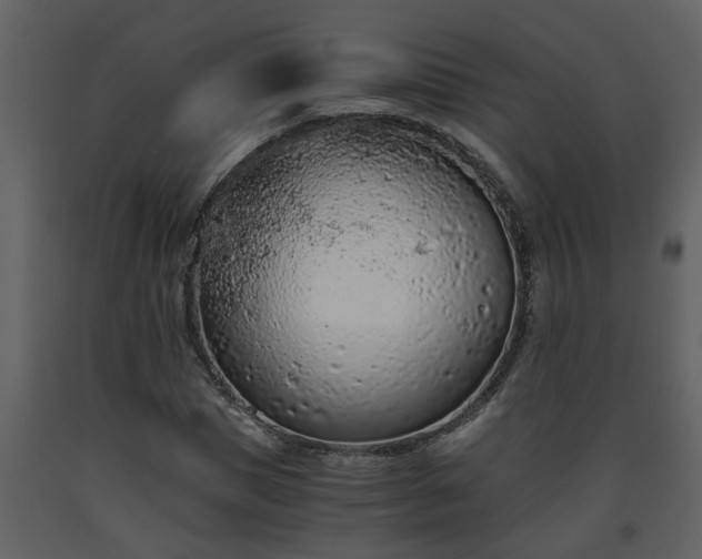 X0000093440921200710191037
