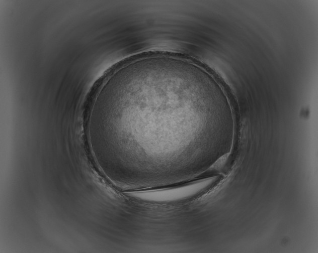 X0000093440923200710191037