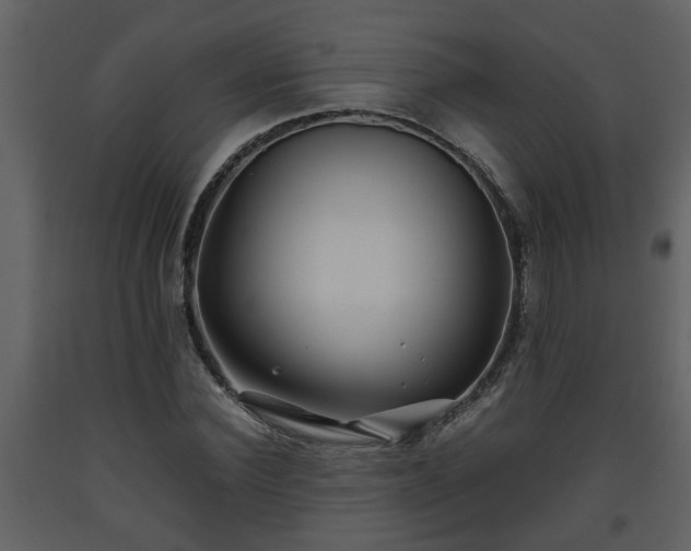 X0000093440924200710191037