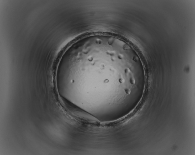 X0000093440925200710191037