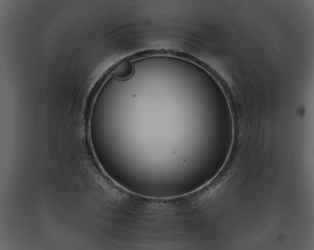 X0000093440927200710191037