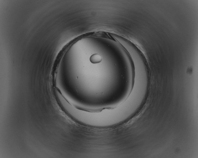 X0000093440928200710191037