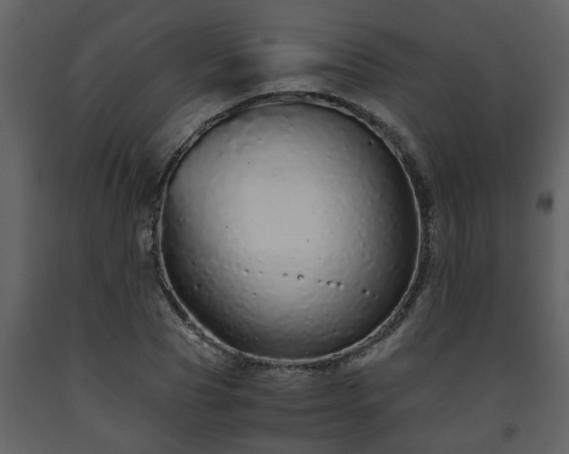 X0000093440929200710191037
