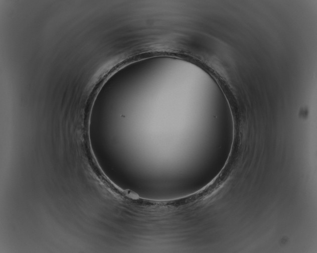 X0000093440930200710191037
