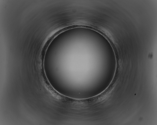 X0000093440931200710191037