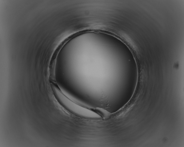 X0000093440932200710191037