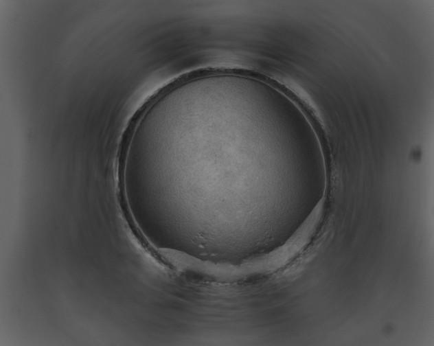 X0000093440935200710191037