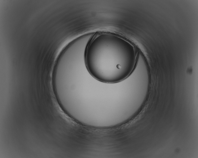 X0000093440936200710191037