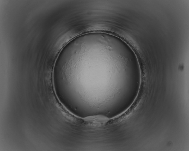 X0000093440937200710191038