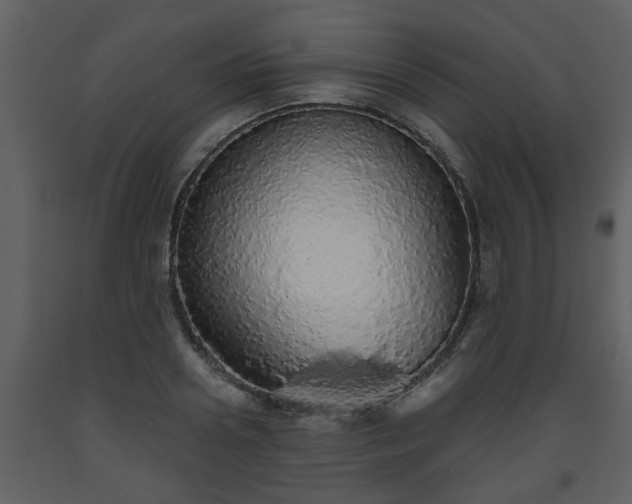 X0000093440938200710191038