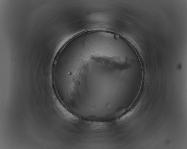 X0000093440941200710191038