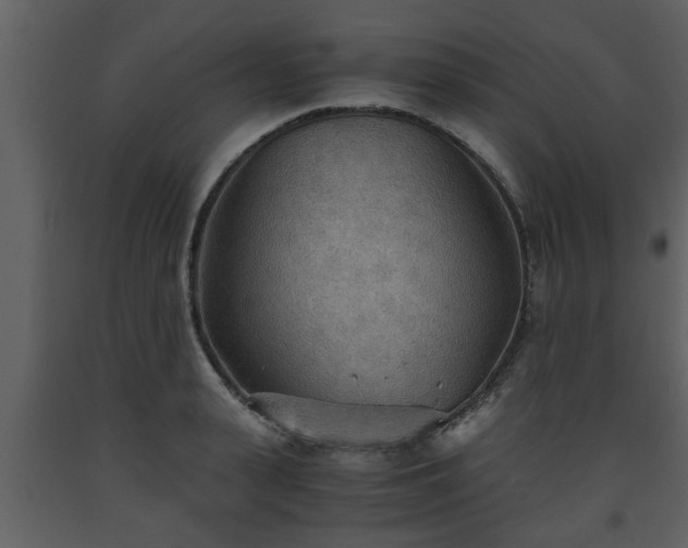X0000093440943200710191038