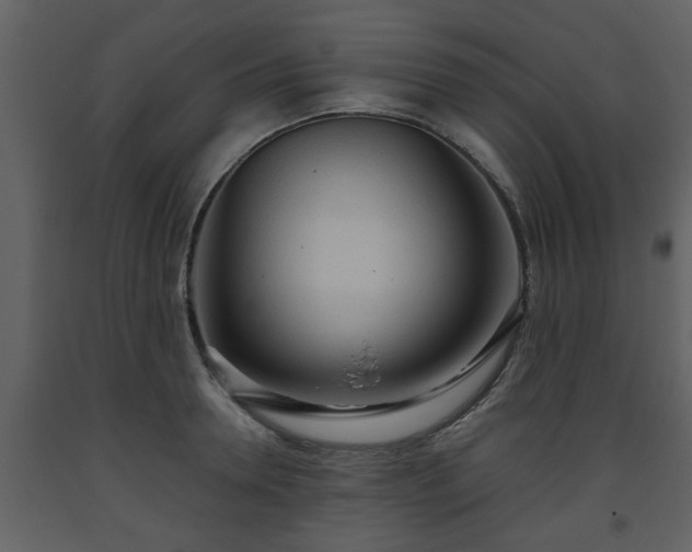 X0000093440946200710191038