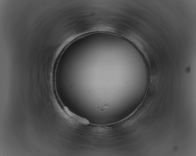 X0000093440947200710191038