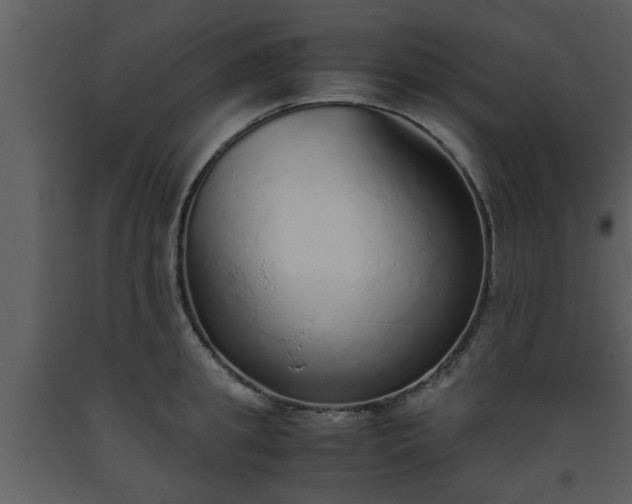 X0000093440949200710191038