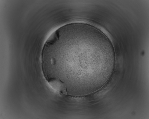 X0000093440951200710191038