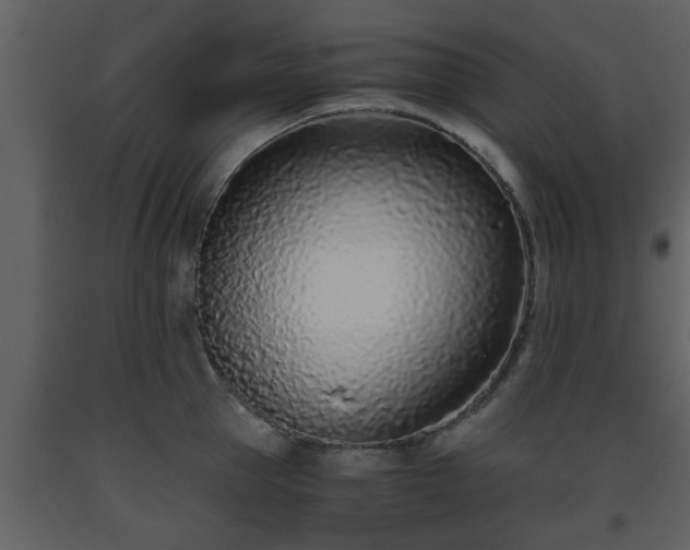 X0000093440953200710191038