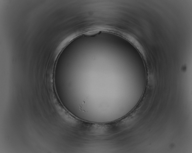 X0000093440954200710191038