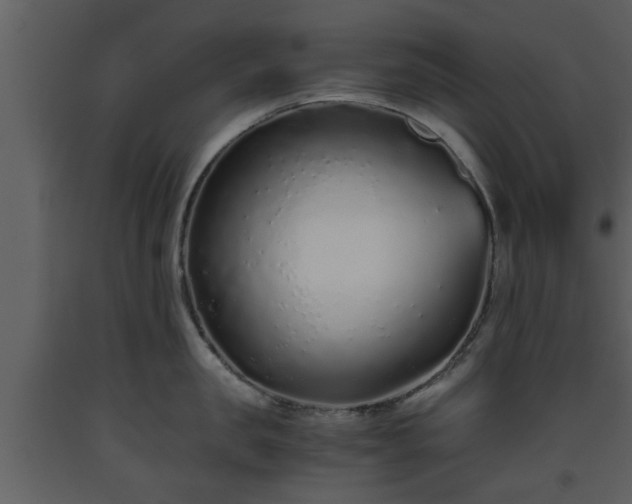 X0000093440957200710191038