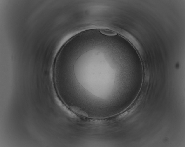 X0000093440958200710191038