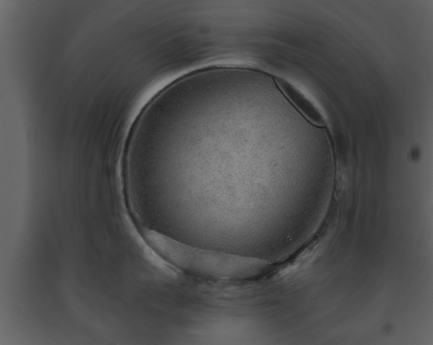 X0000093440959200710191038