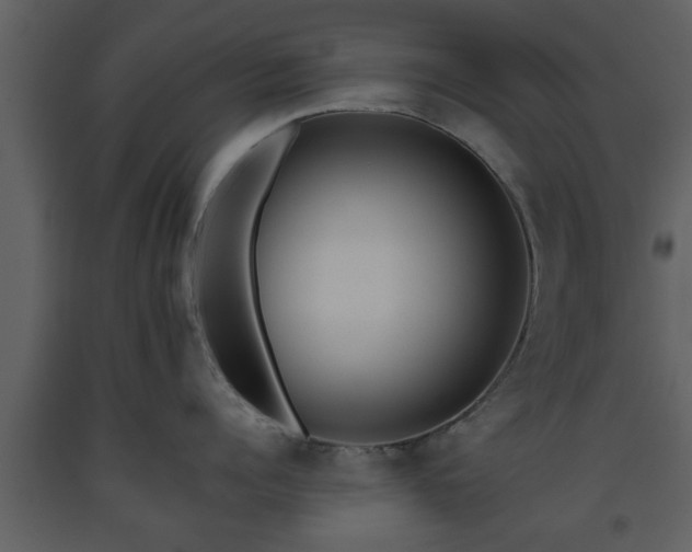 X0000093440960200710191038